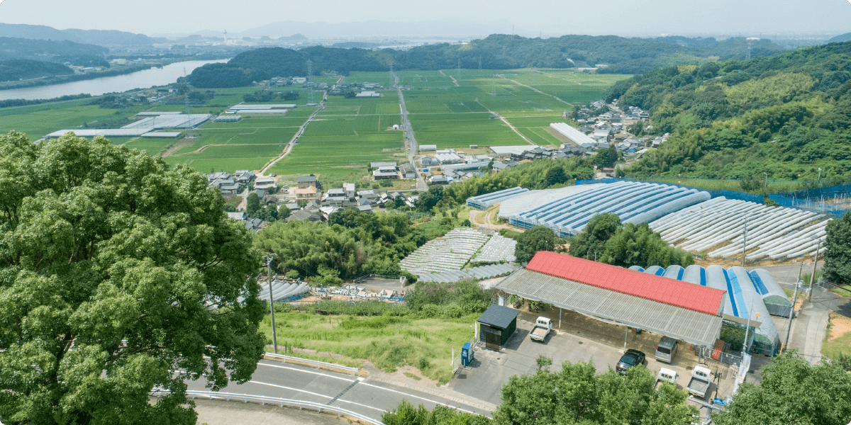 View near the orchard