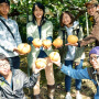 Image of Pear Picking