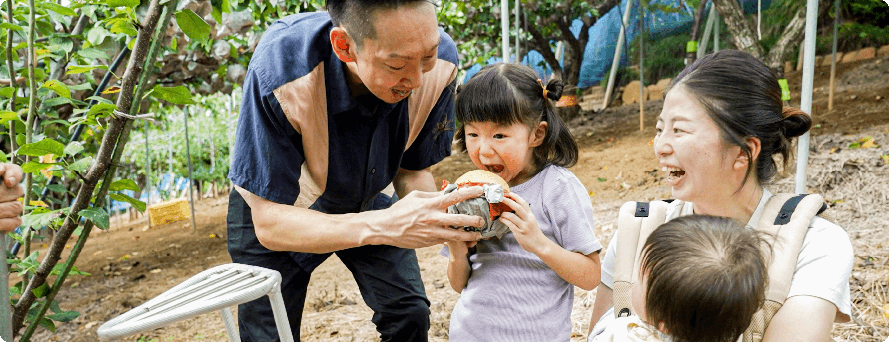 与家人一起采摘梨子