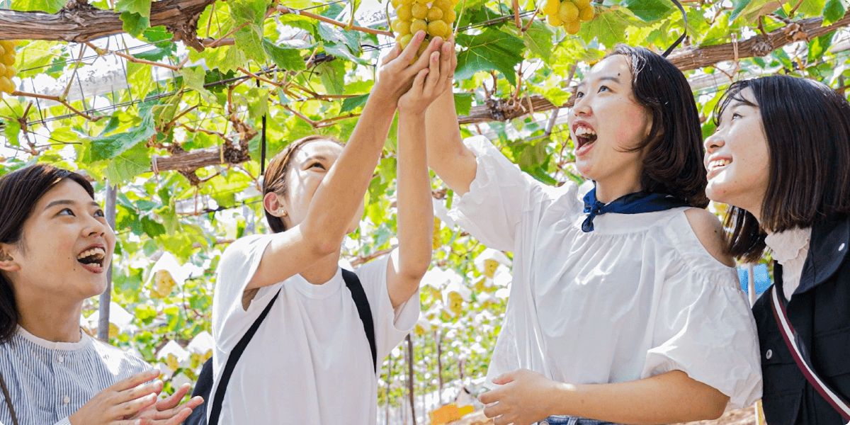 与朋友一起享受采摘葡萄的乐趣