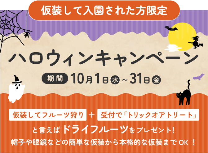 ハロウィンキャンペーン