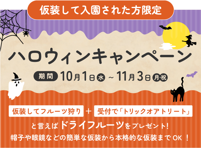 ハロウィンキャンペーン