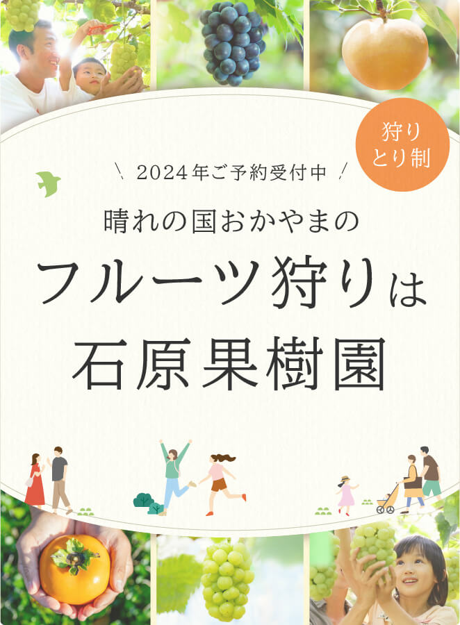 晴れの国おかやまのフルーツ狩りは石原果樹園