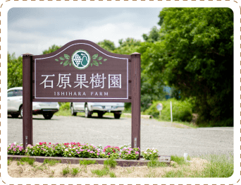 石原果樹園 看板