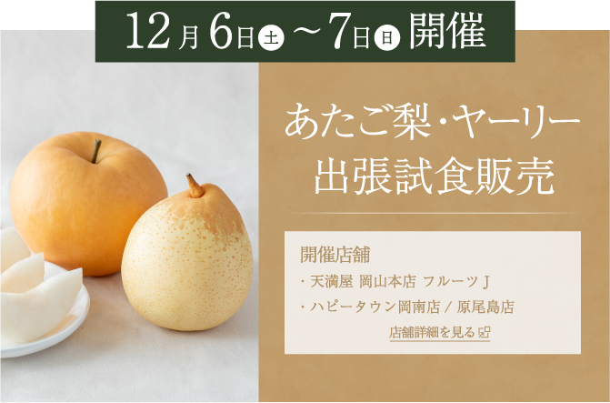 おかやま結婚応援パスポート割引