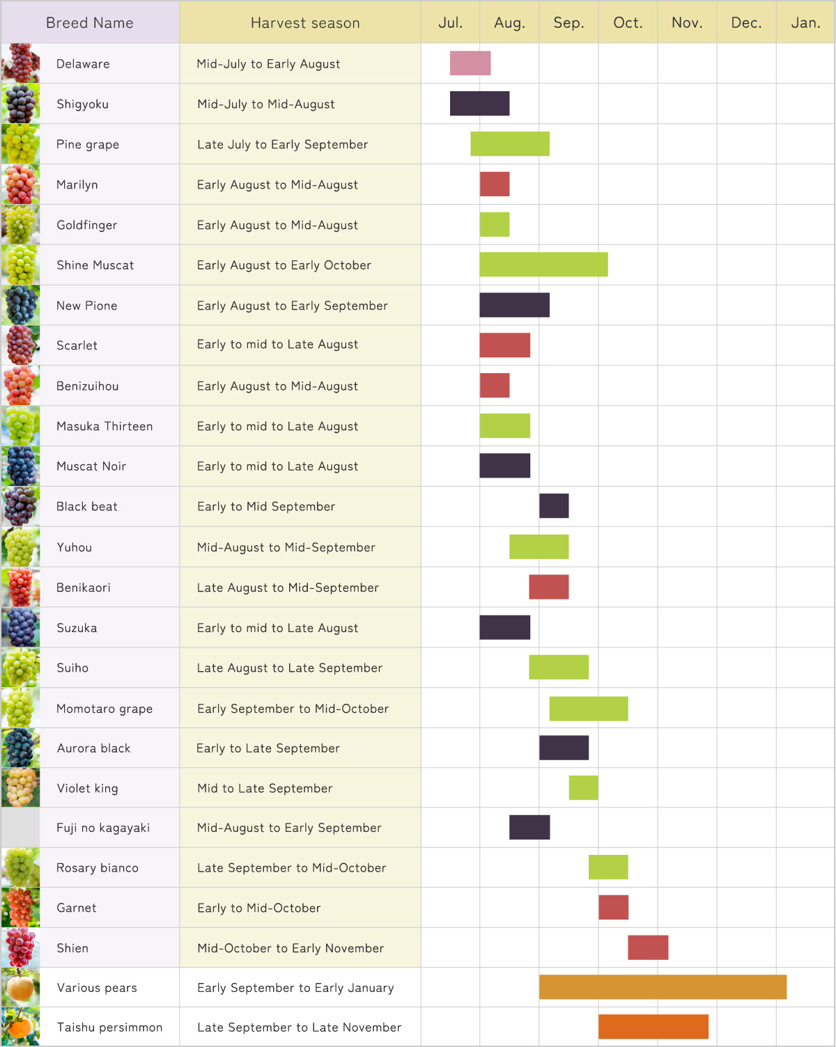 Grape Annual Calendar