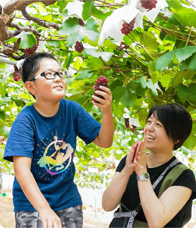 A family picking grapes