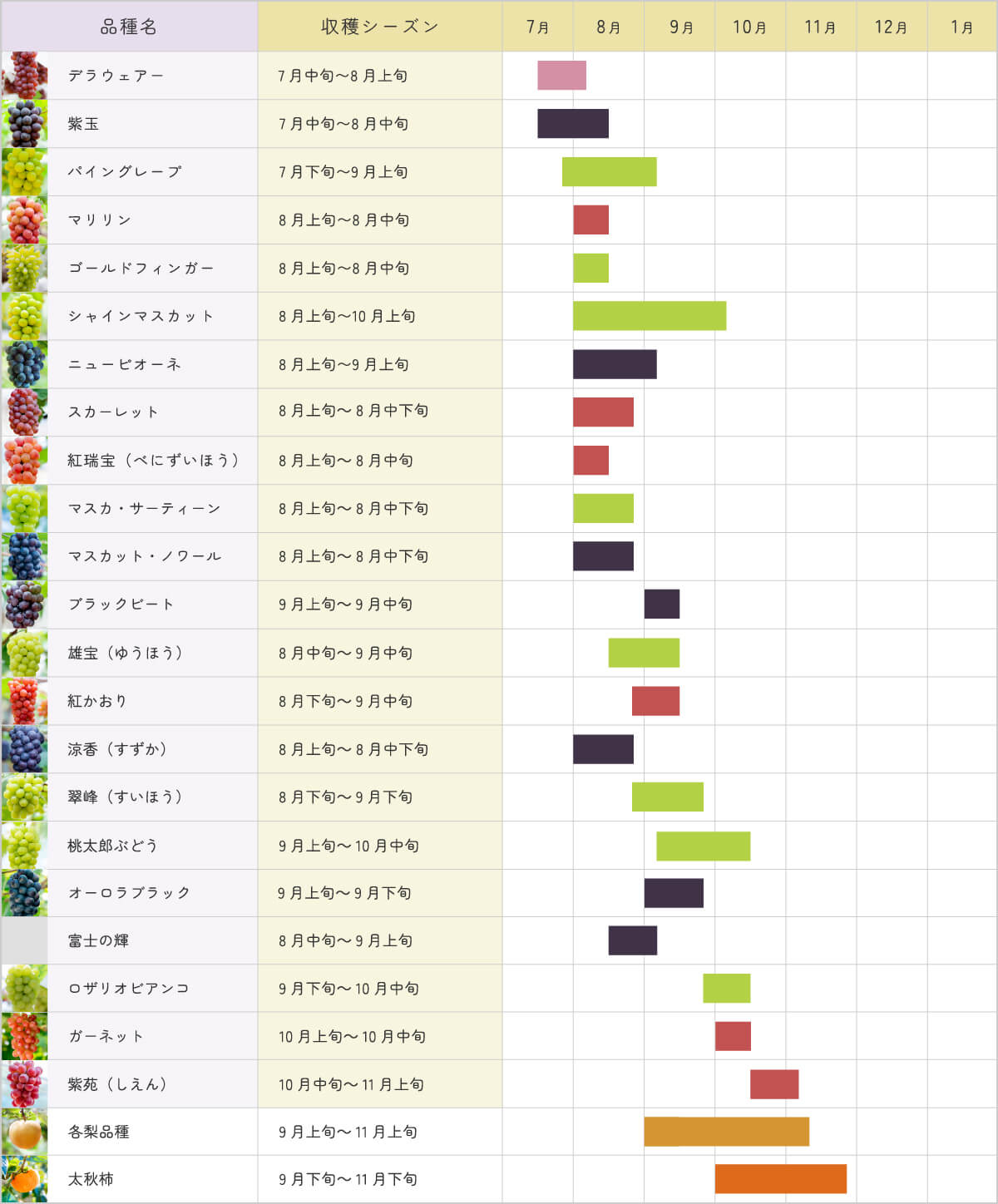 ぶどう年間カレンダー