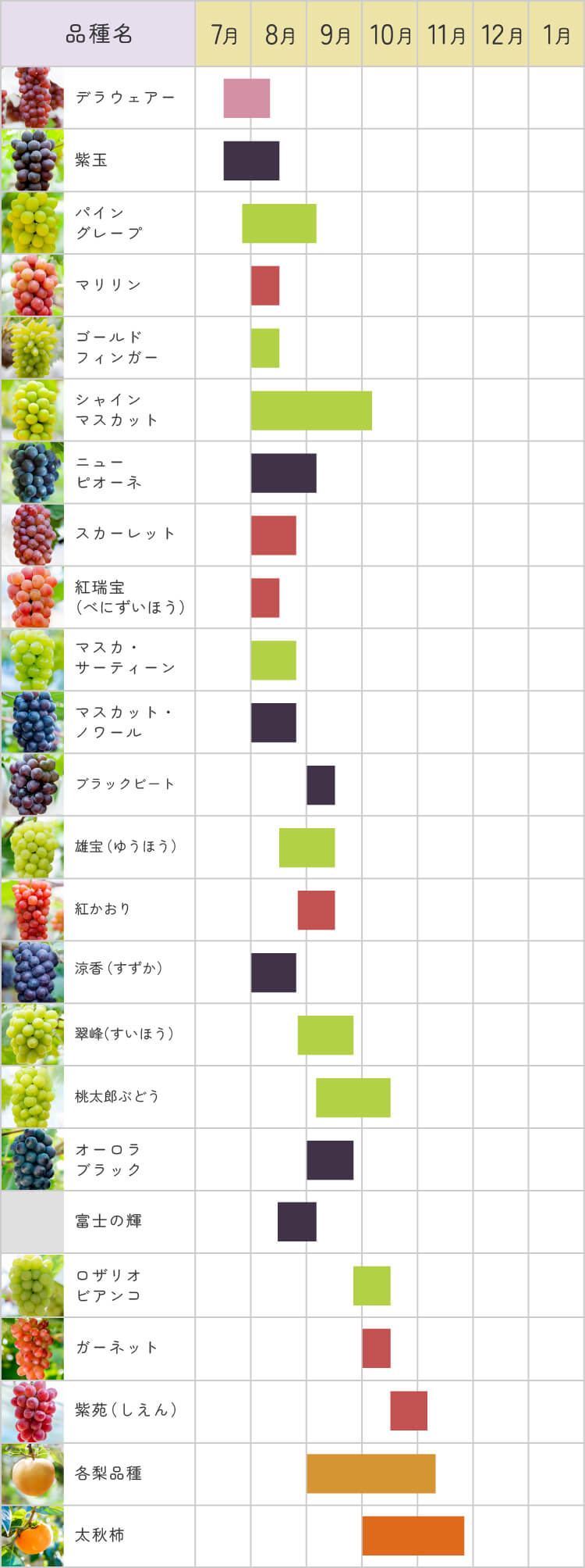 ぶどう年間カレンダー