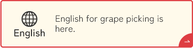 English | See the English page for grape picking