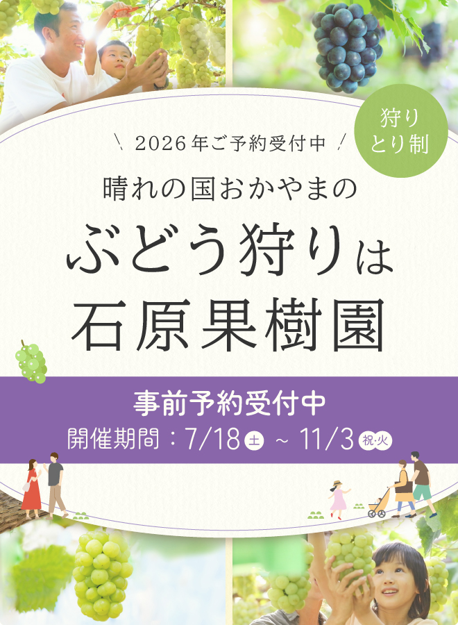 ぶどう狩りは石原果樹園