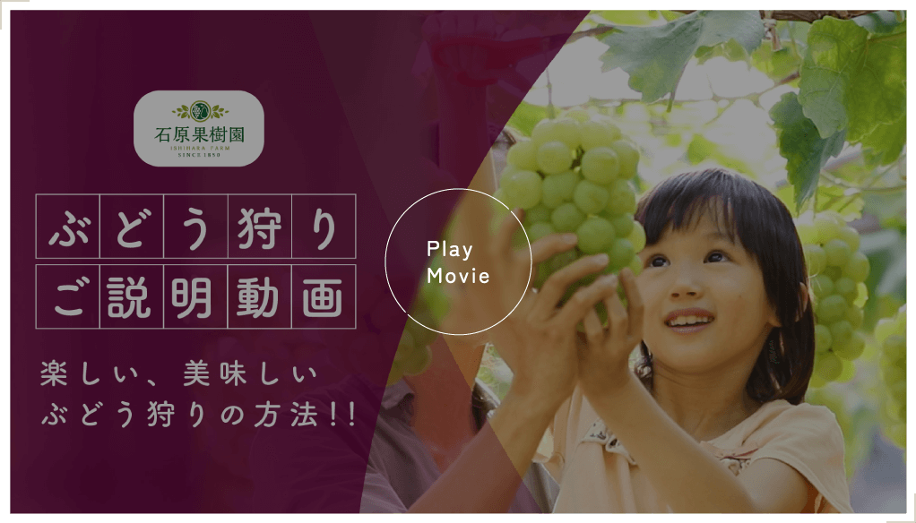ぶどう狩り説明動画