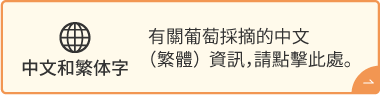 中文和繁体字 | 有關葡萄採摘的中文（繁體）資訊，請點擊此處。