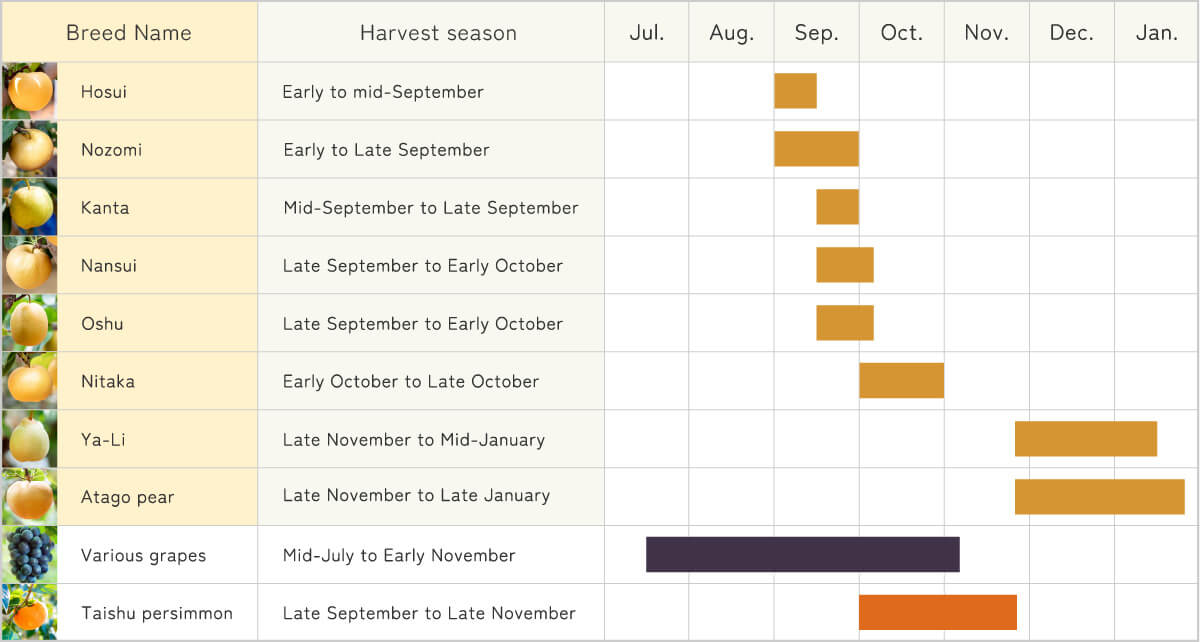 Grape Annual Calendar