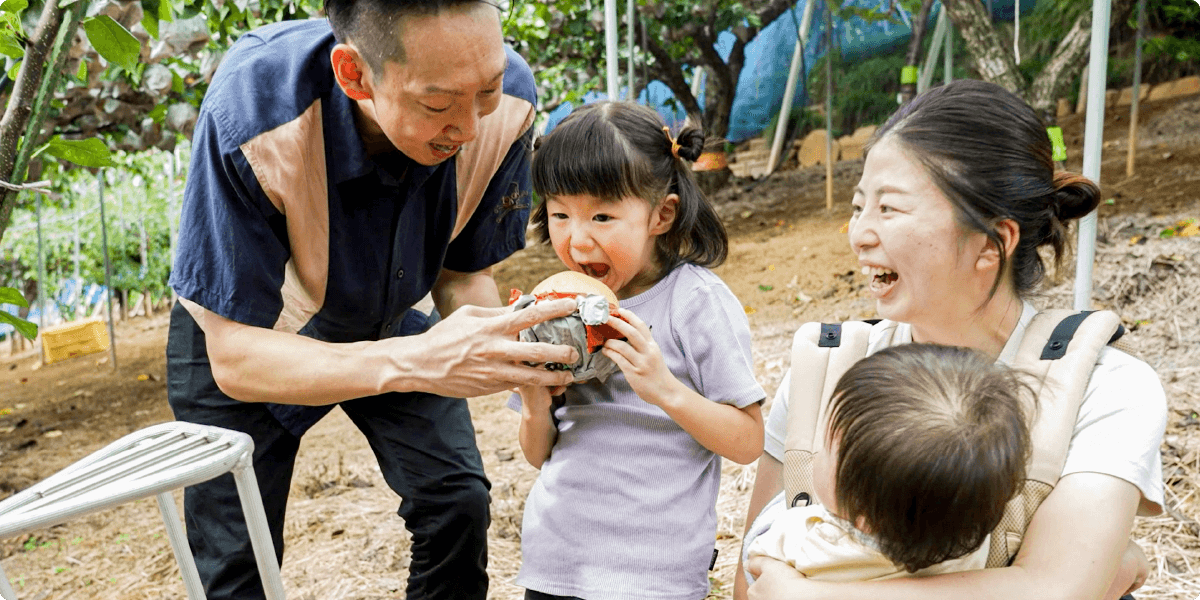 Enjoy Pear Picking with the Family