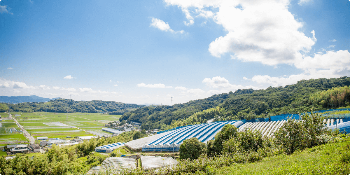 石原农场外景