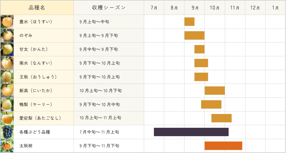 梨年間カレンダー