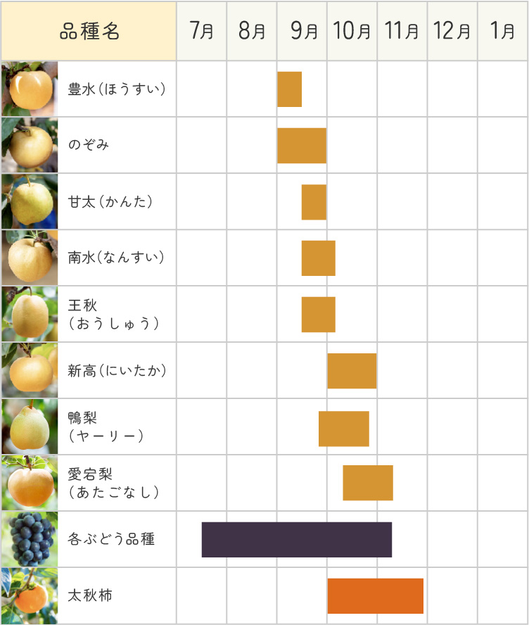 梨年間カレンダー