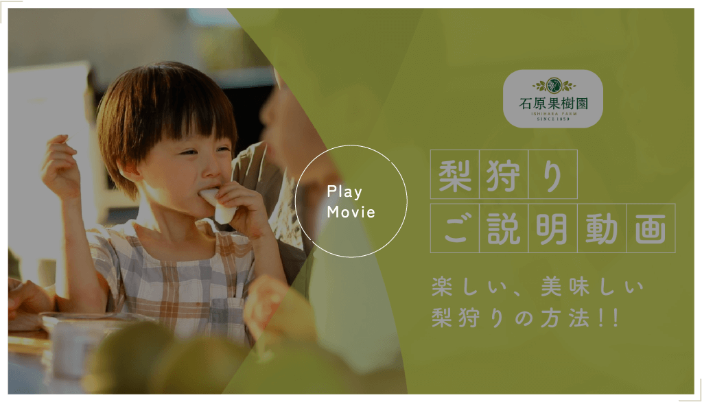 梨狩り説明動画