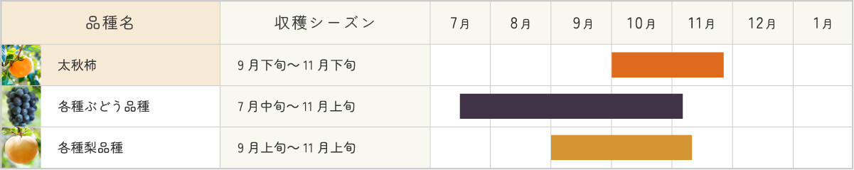 太秋柿年間カレンダー