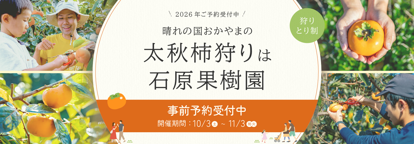 太秋柿狩りは石原果樹園