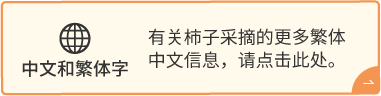 中文和繁体字 | 有关柿子采摘的更多繁体中文信息，请点击此处。