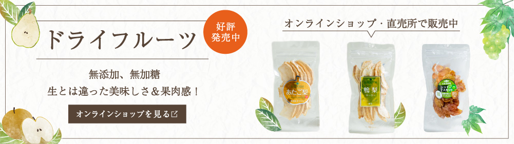 ドライフルーツ好評発売中