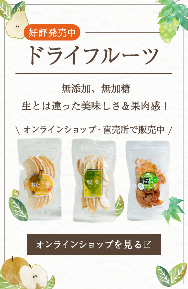 ドライフルーツ好評発売中
