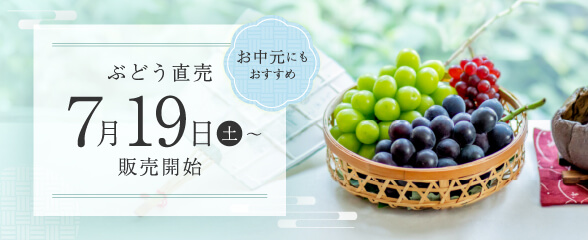 ぶどう直売