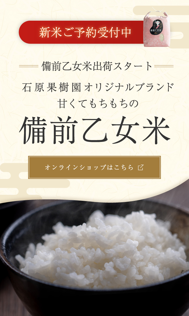 備前乙女米　好評販売中