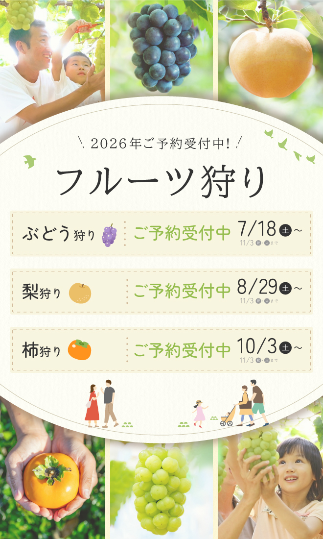 フルーツ狩り開催状況