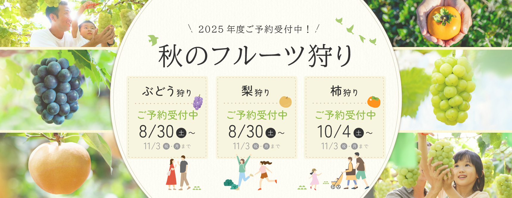 2025年度秋のフルーツ狩り開催