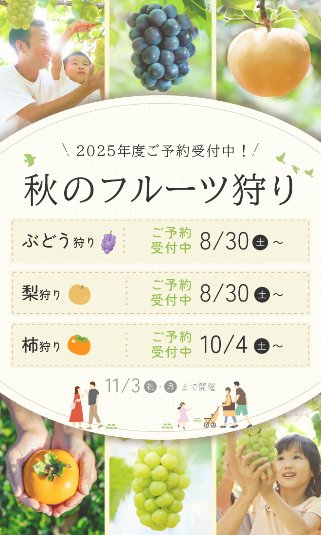 2025年度秋のフルーツ狩り開催