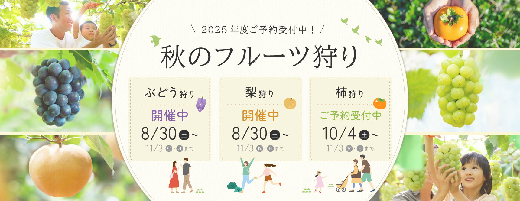 2025年度秋のフルーツ狩り開催