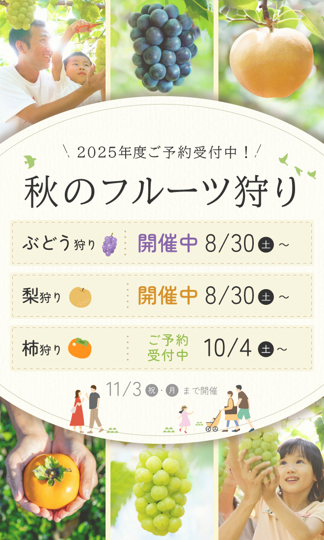 2025年度秋のフルーツ狩り開催