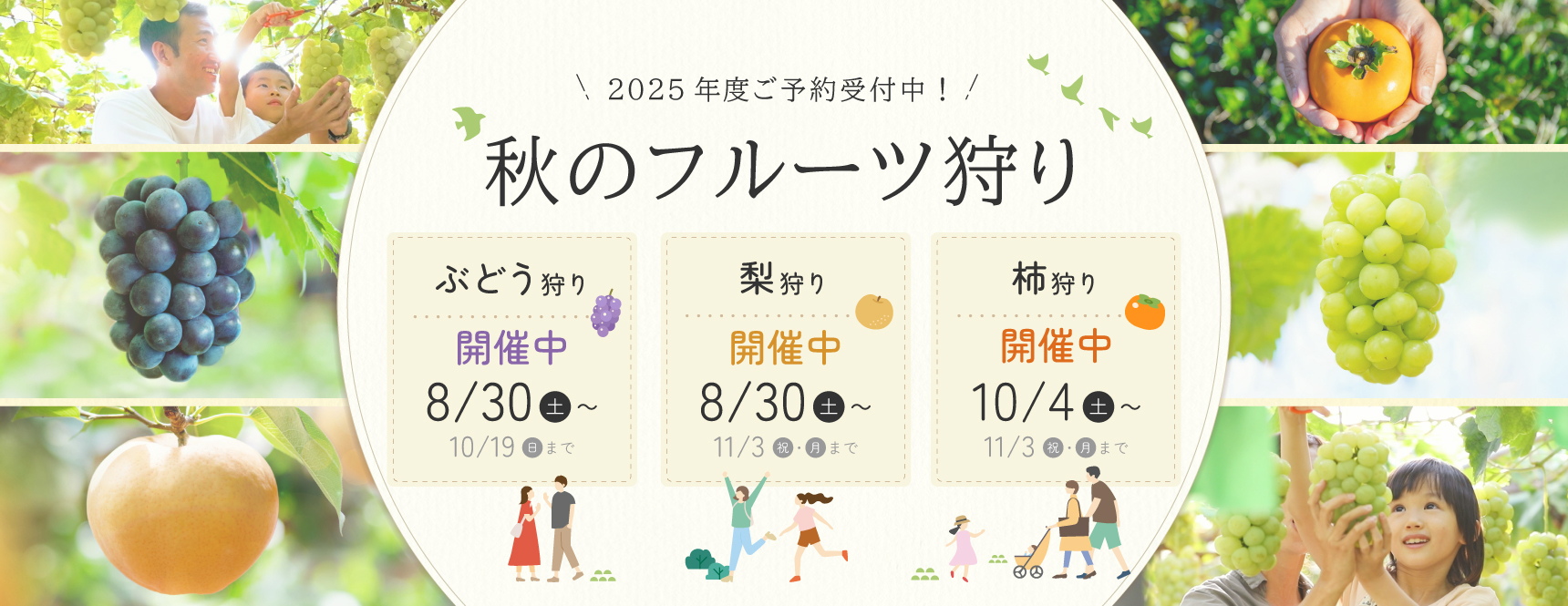 2025年度秋のフルーツ狩り開催