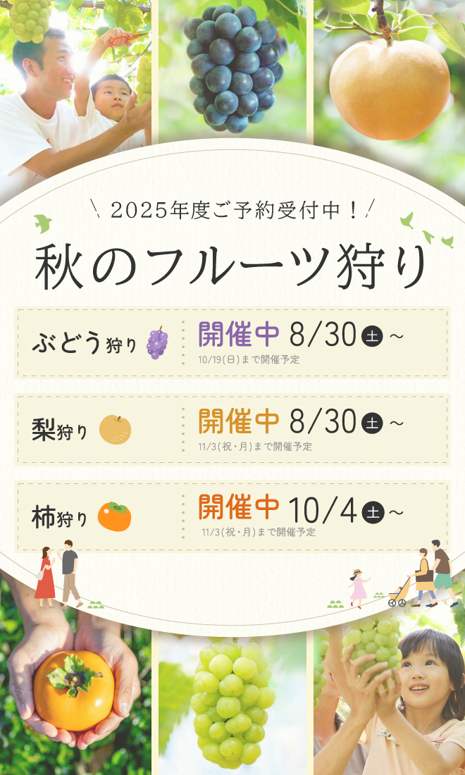 2025年度秋のフルーツ狩り開催