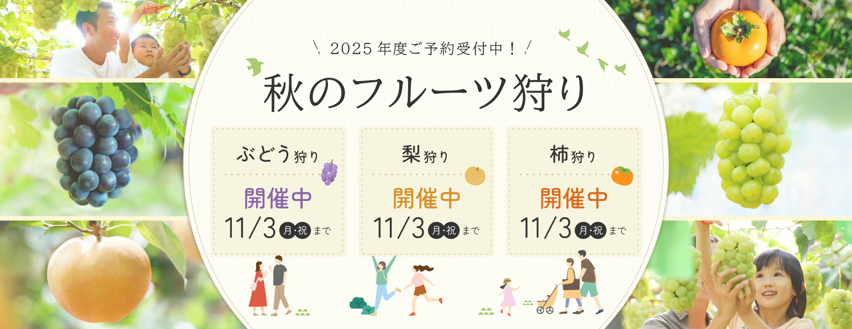 2025年度秋のフルーツ狩り開催