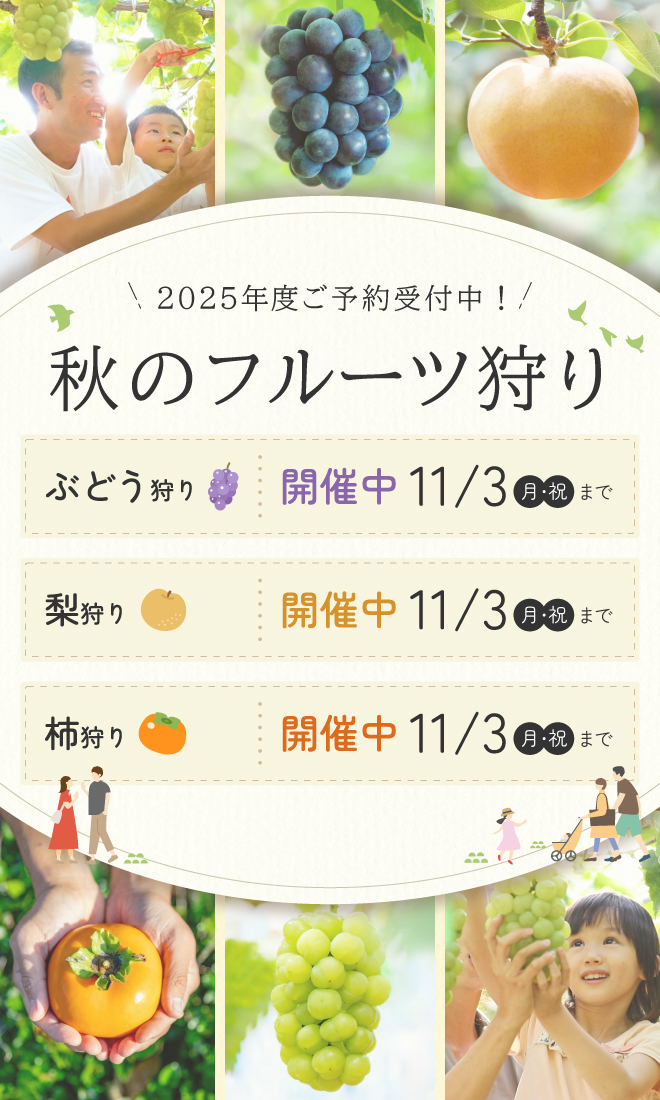 2025年度秋のフルーツ狩り開催