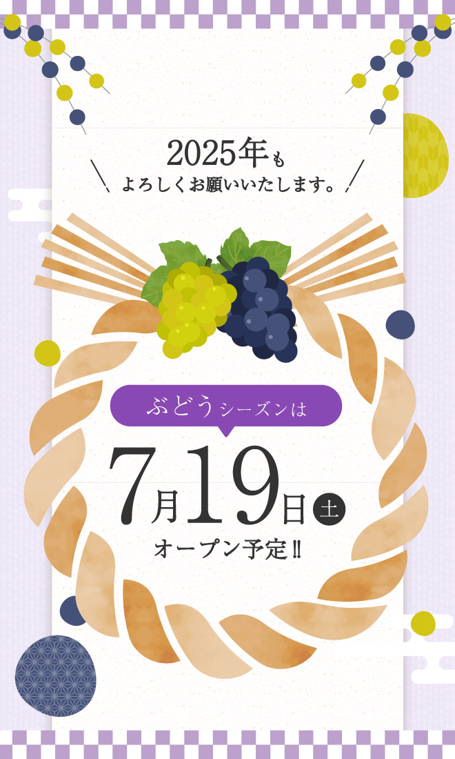 ぶどうシーズン(1月限定)