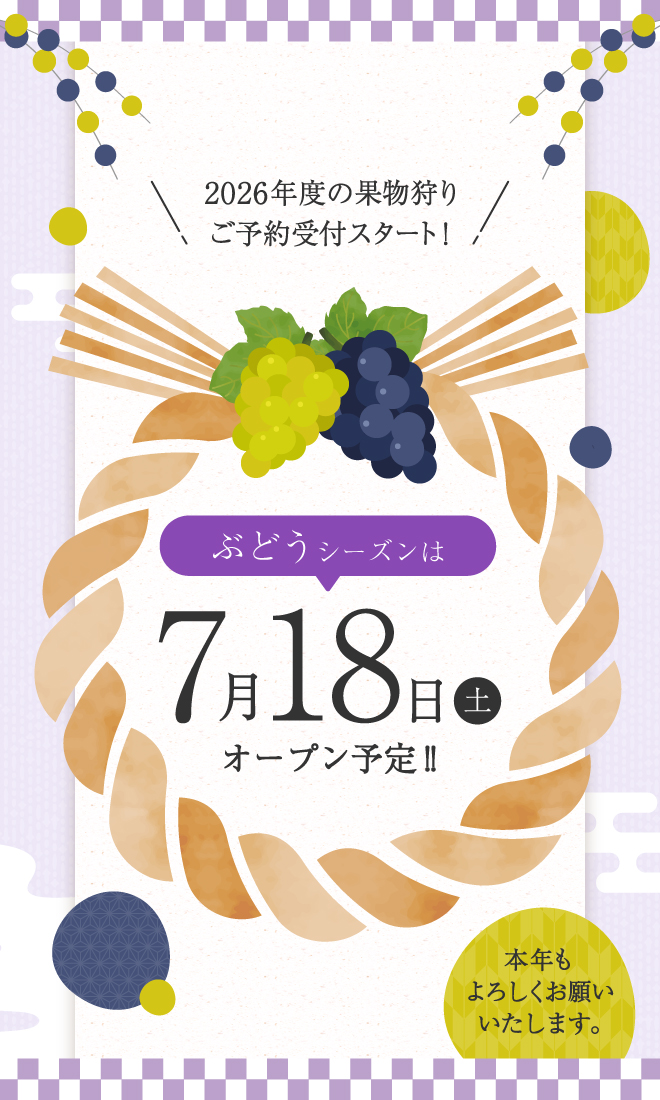 ぶどうシーズン(1月限定)