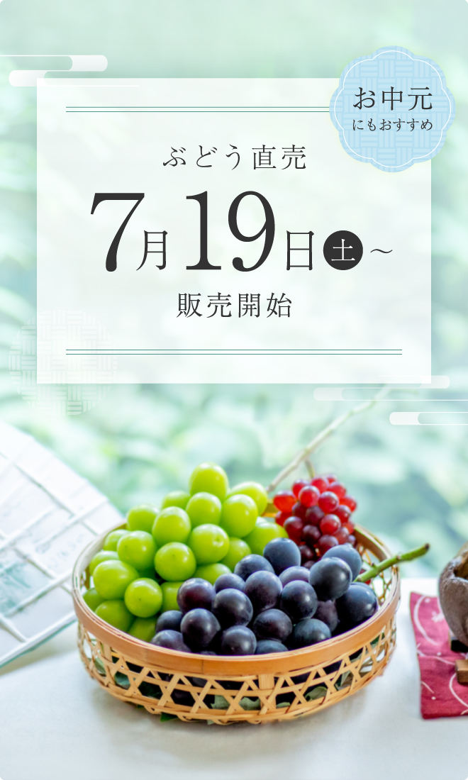 ぶどう直売開始