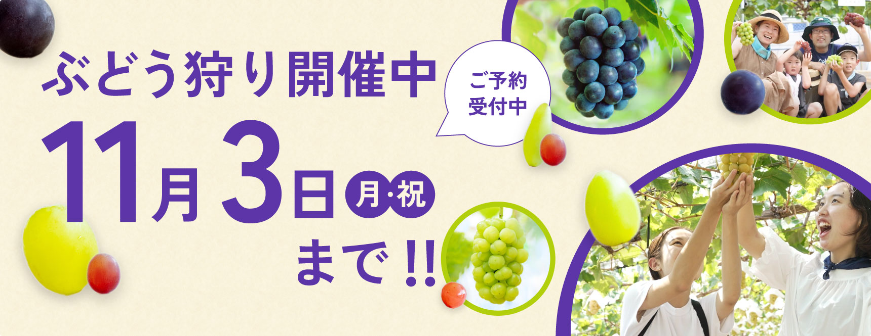 秋のぶどう狩り