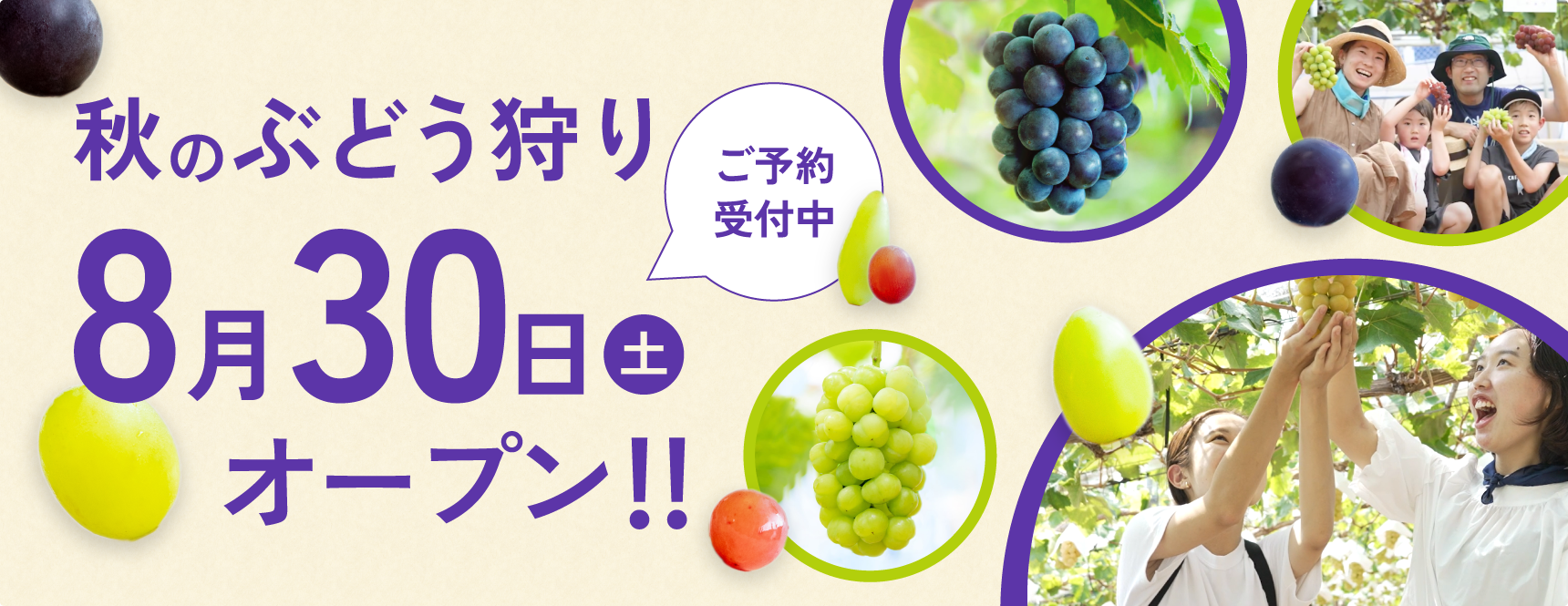 秋のぶどう狩り