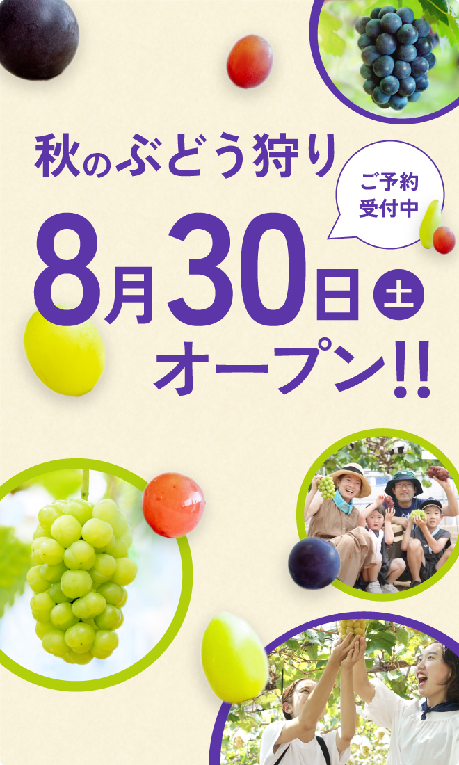 秋のぶどう狩り