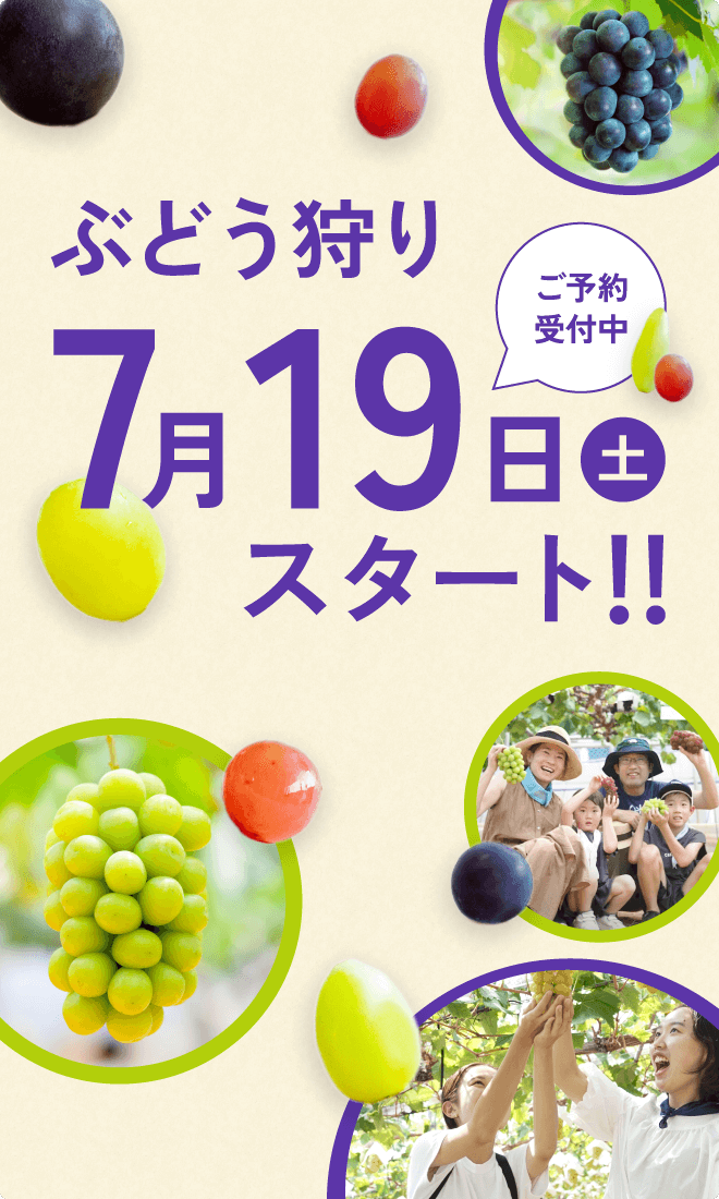 ぶどう狩り予告