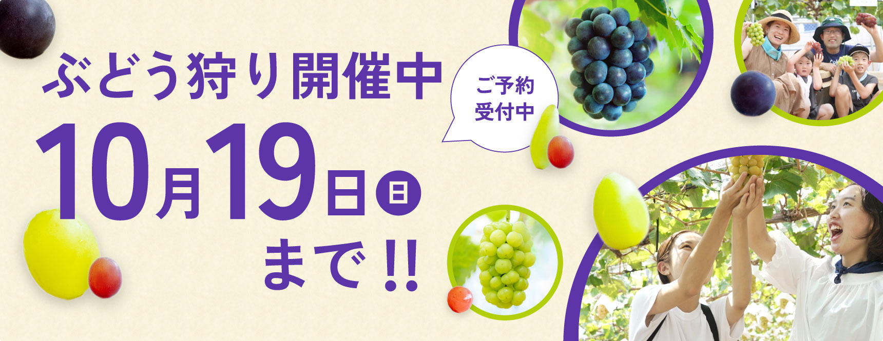 秋のぶどう狩り
