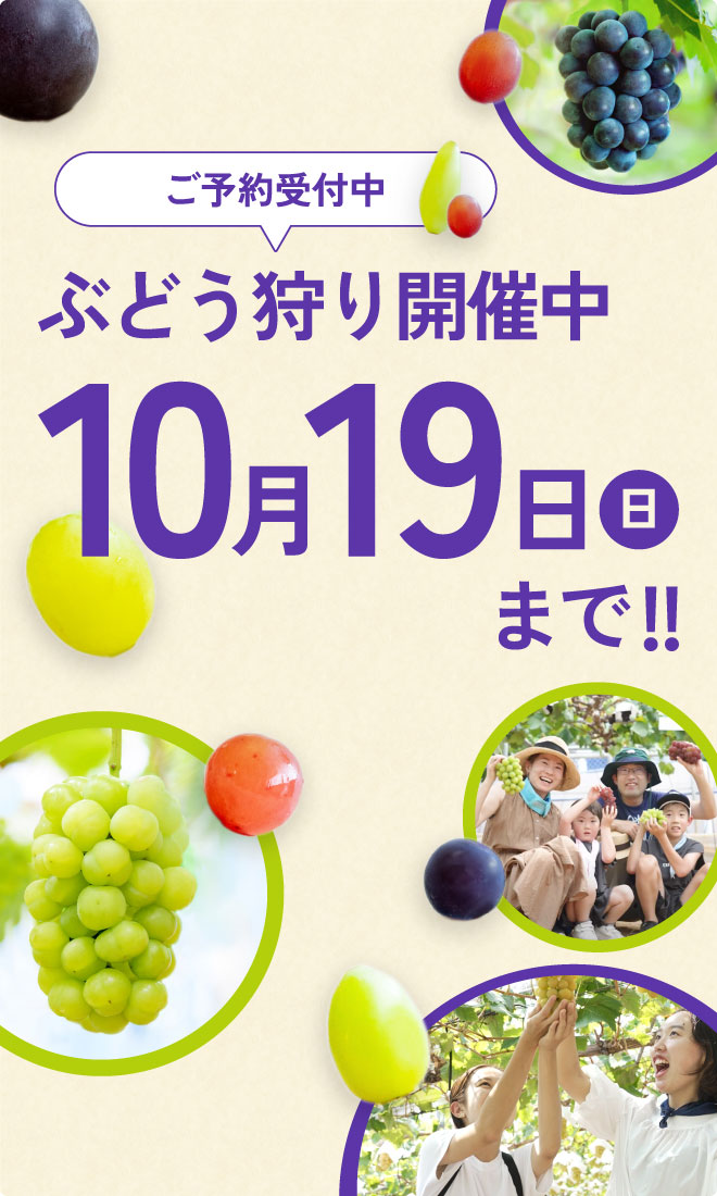 秋のぶどう狩り