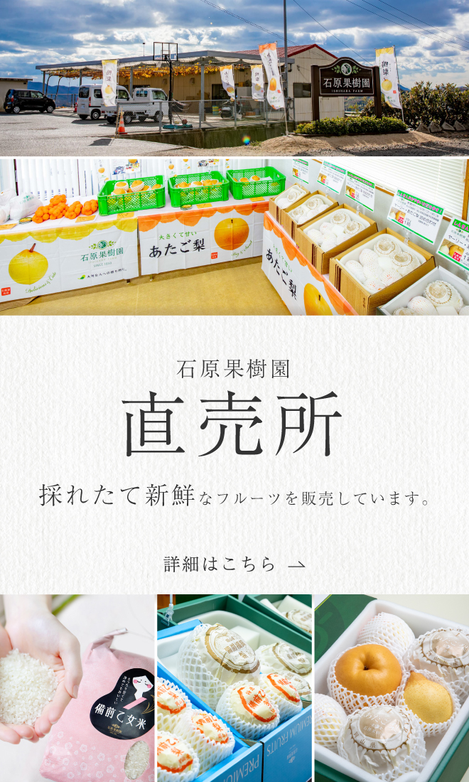 直売所_あたご・ヤーリー