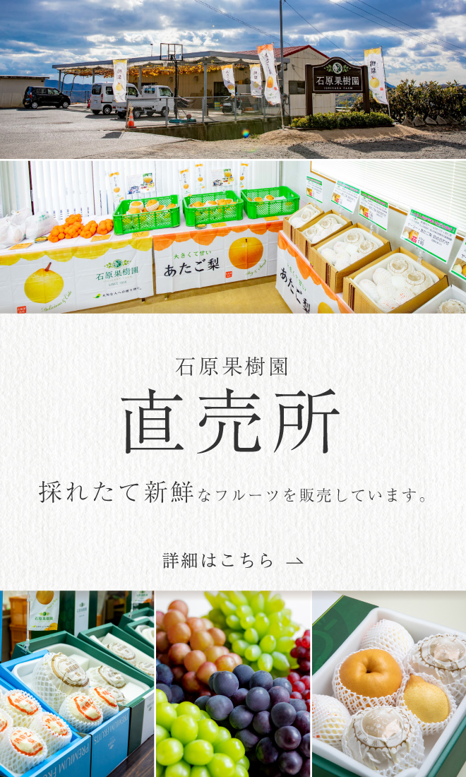 直売所_あたご・ヤーリー